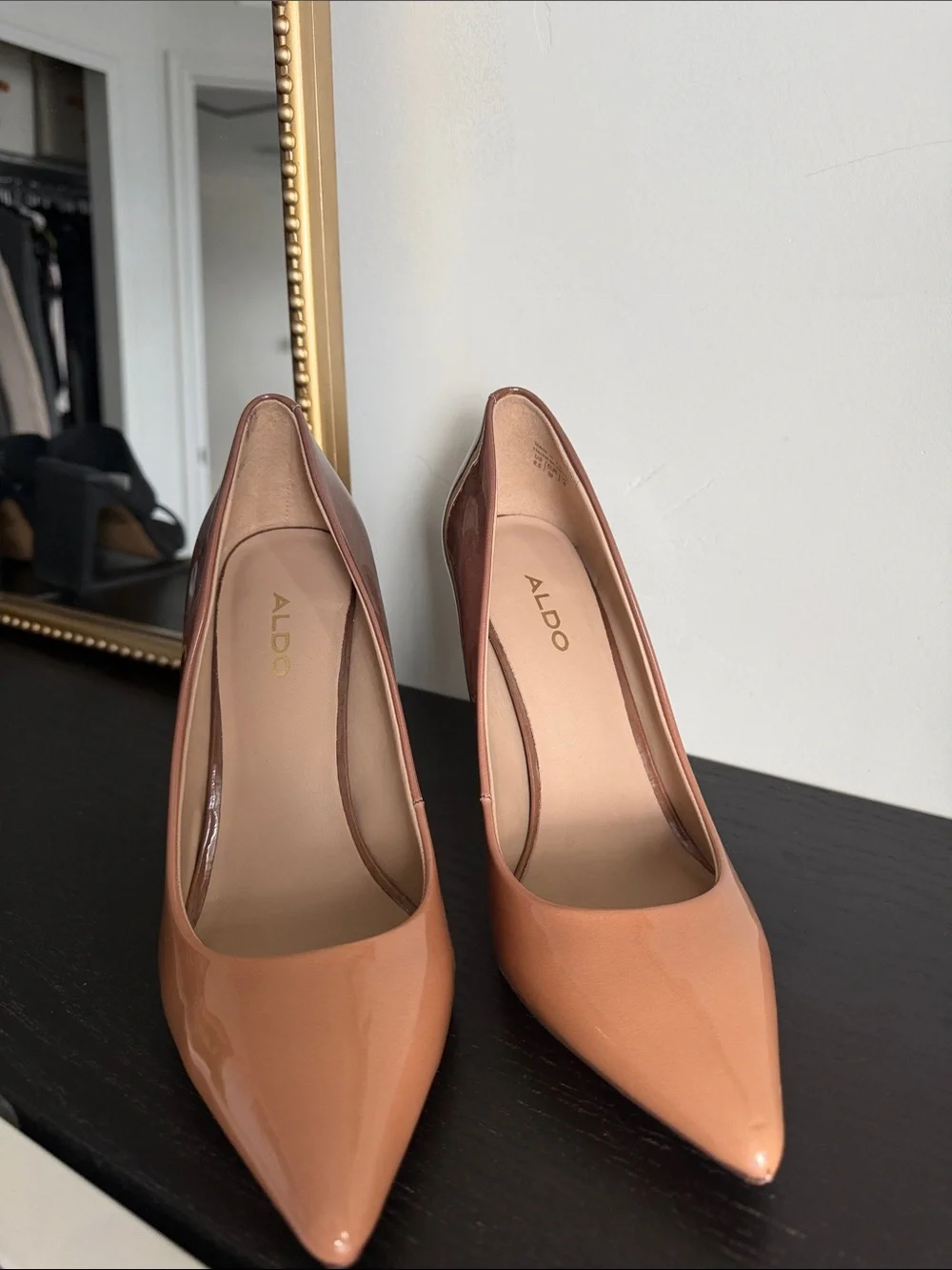 Aldo Pointed-Toe High Heel Pumps in Nude